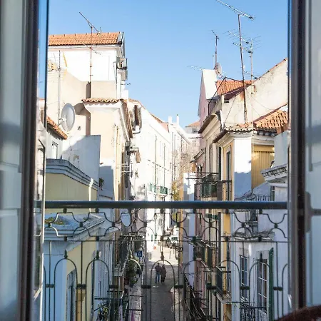 Feels Like Santa Catarina Spacious Flat